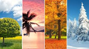 The Seasons of Life…